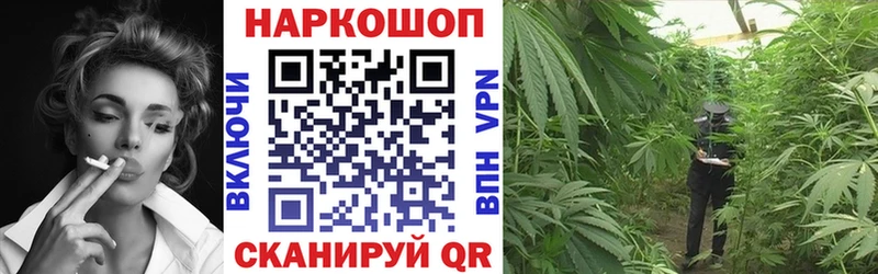 Купить наркотики сайты Невель Гашиш МАРИХУАНА МЕФ