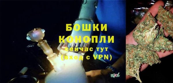 ГАЛЛЮЦИНОГЕННЫЕ ГРИБЫ Беломорск