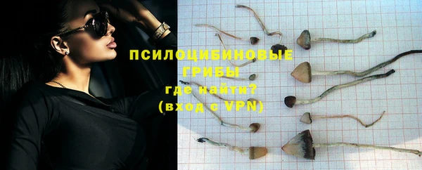 хмурый Белоозёрский