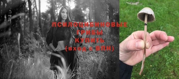 мет Снежногорск
