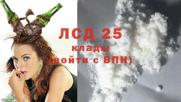 ГАЛЛЮЦИНОГЕННЫЕ ГРИБЫ Беломорск