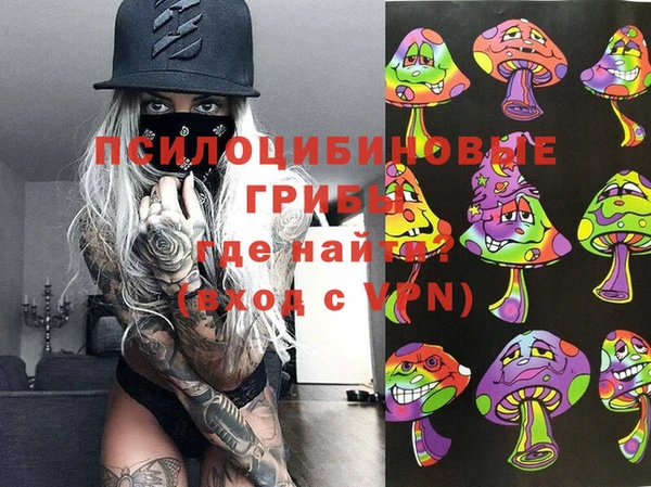 амф Белокуриха