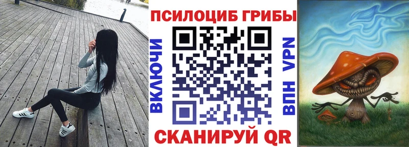 Псилоцибиновые грибы Cubensis Невель