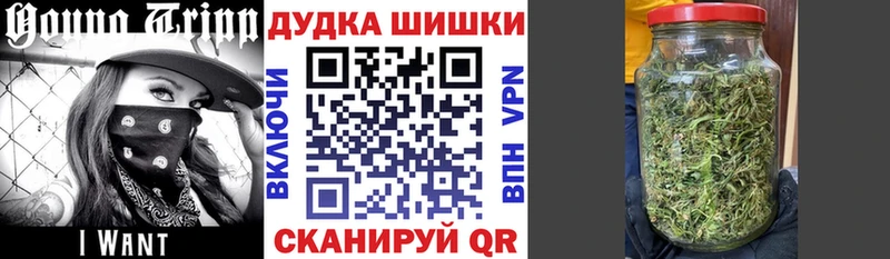 Шишки марихуана марихуана  где продают наркотики  KRAKEN рабочий сайт  Невель 